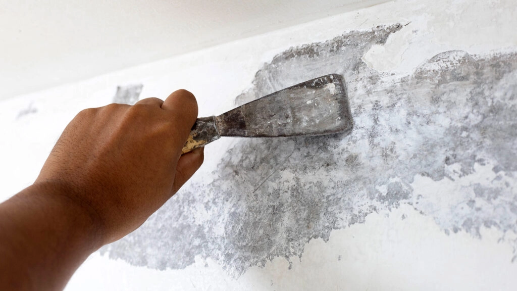 Durable Cement Board Installation